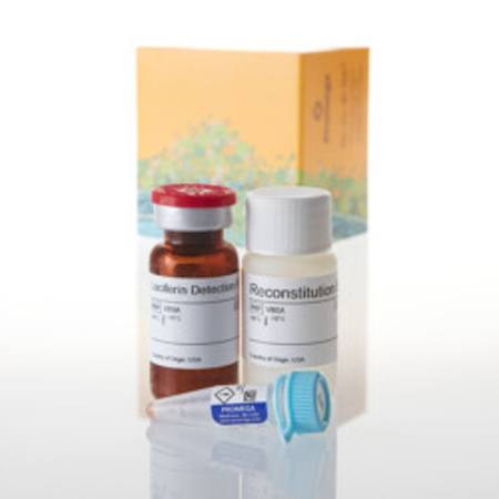 Buy P450-Glo(TM) CYP3A4 Assay with Luciferin PPXE, 10ml in NZ.