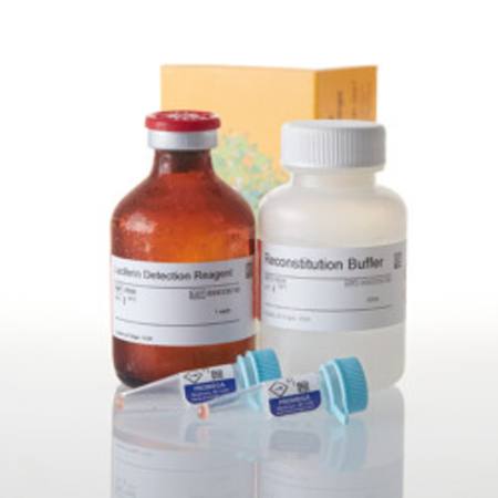 Buy P450-Glo(TM) CYP3A4 Assay with Luciferin PPXE, 50ml in NZ. 