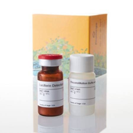 Buy Luciferin Detection Reagent, with esterase, 10ml in NZ. 