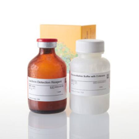 Buy Luciferin Detection Reagent, with esterase, 50ml in NZ. 
