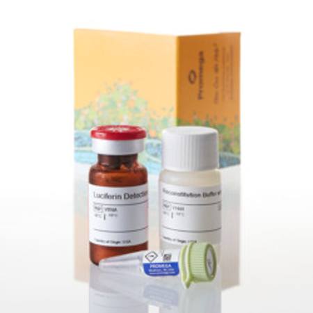 Buy P450-Glo(TM) CYP3A4 Assay with Luciferin-IPA, 10ml in NZ.