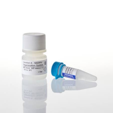 Buy NADPH Regeneration System in NZ.