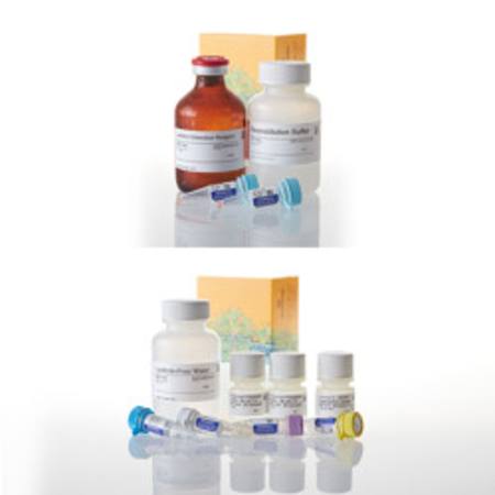 Buy P450-Glo(TM) CYP3A4 Screening System with Luciferin-PPXE in NZ. 