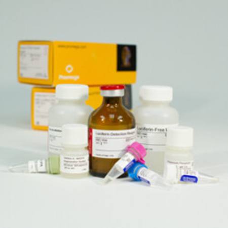 Buy P450-Glo(TM) CYP3A4 Screening System with Luciferin-IPA in NZ. 