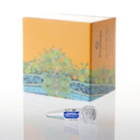 Buy AccuMAP(TM) Denaturing Solution, 1ml in NZ. 