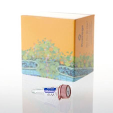 Buy AccuMAP(TM) 100X Oxidation Suppressant, 50ul in NZ. 