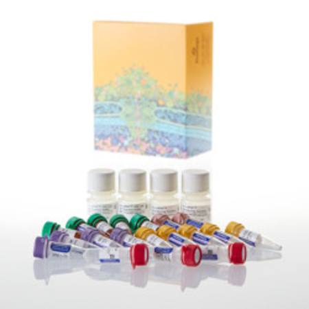 Buy AccuMAP(TM) Low pH Protein Digestion Maxi Kit in NZ. 