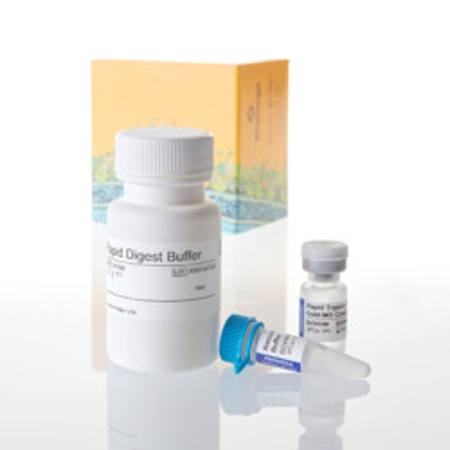 Buy Rapid Digestion Kit - Trypsin in NZ.
