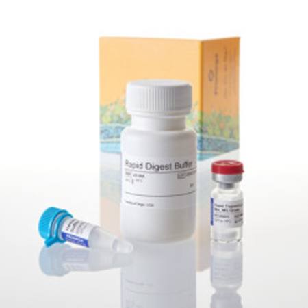Buy Rapid Digestion Kit Trypsin/ Lys-C in NZ.