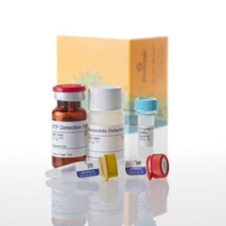 Buy GDP-Glo(TM) Glycosyltransferase Assay, 200 assays in NZ. 