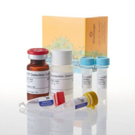 Buy GDP-Glo(TM) Glycosyltransferase Assay, 400 assays in NZ.
