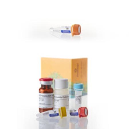 Buy GDP-Glo (TM) GT Assay (VA1090) + GDP-Fucose 50mM (VA1097) in NZ.