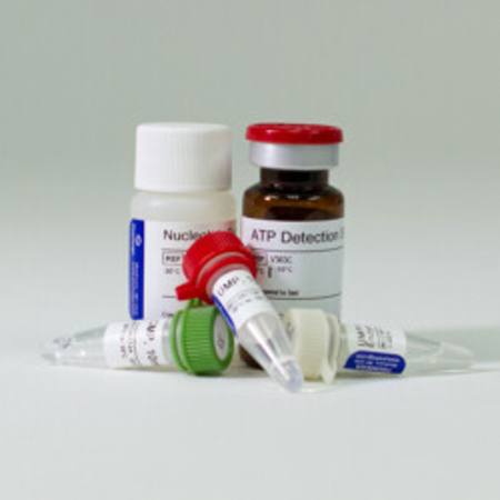 Buy UMP/CMP-Glo(TM) Glycosyltransferase Assay, 200 assays in NZ.