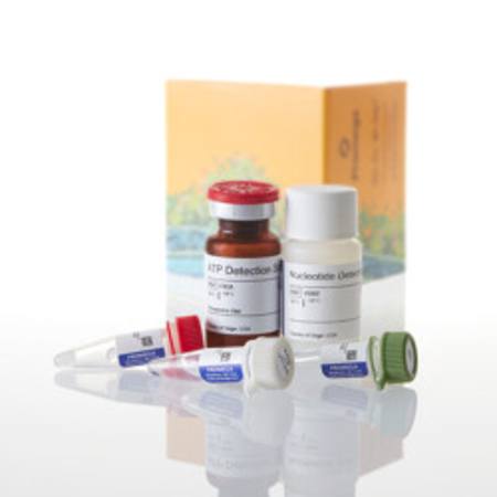 Buy UMP/CMP-Glo(TM) Glycosyltransferase Assay, 400 assays in NZ.