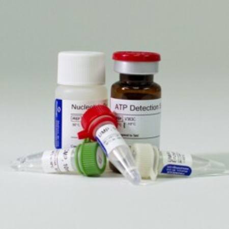 Buy UMP/CMP-Glo(TM) Glycosyltransferase Assay, 4,000 assays in NZ. 