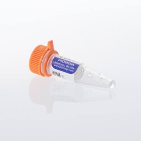 Buy Arg-C Ultra, Mass Spec Grade 5ug in NZ. 