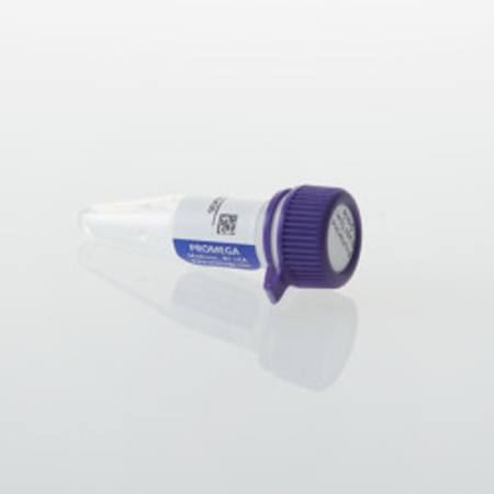 Buy ProAlanase, Mass Spec Grade, 5ug in NZ.