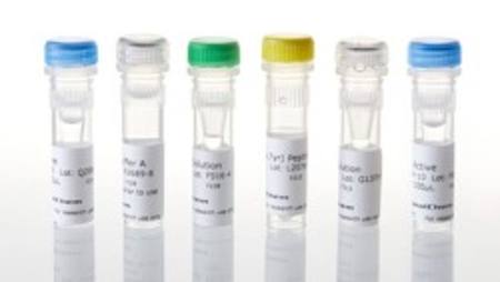 EGFR (C797S L858R) Kinase Enzyme System