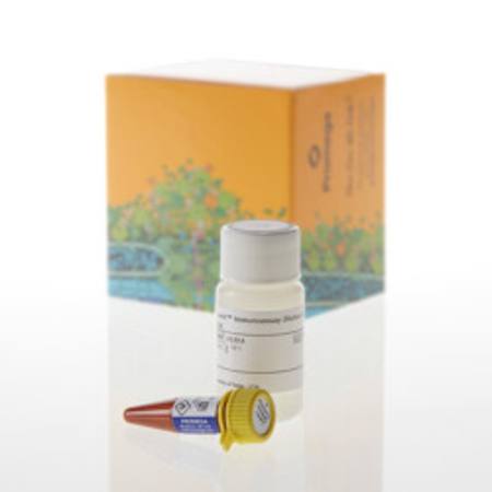 Buy Lumit(R) Detection Reagent A, 500 assays in NZ.
