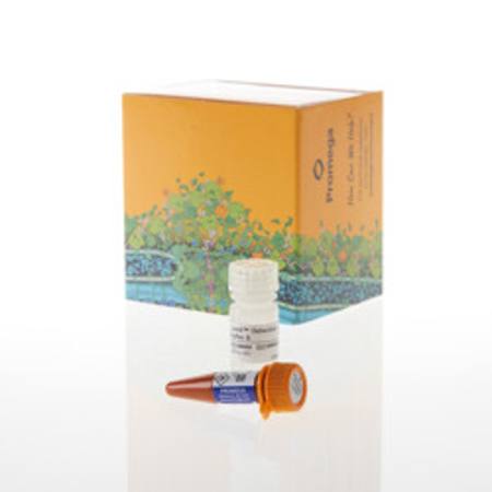 Buy Lumit(R) Detection Reagent B, 100 assays in NZ.