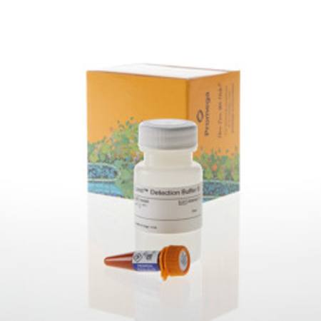 Buy Lumit(R) Detection Reagent B, 1,000 assays in NZ.
