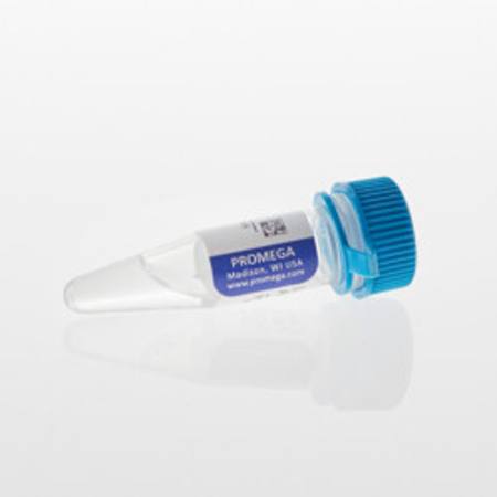 Buy Lumit(R) Anti-Mouse Ab-LgBiT in NZ. 