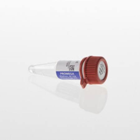 Buy Lumit(R) Anti-Rabbit Ab-SmBiT in NZ.