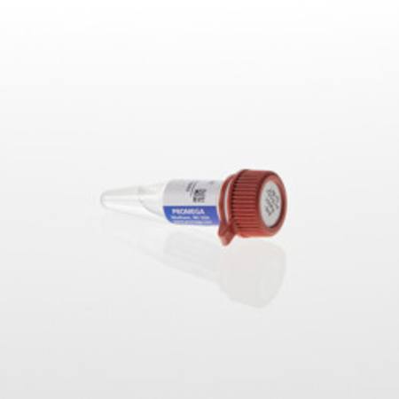 Buy Lumit(R) Anti-Rabbit Ab-SmBiT in NZ.
