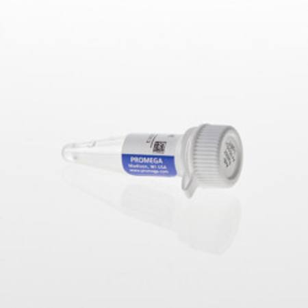 Buy Lumit(R) Anti-Rabbit Ab-LgBiT in NZ.