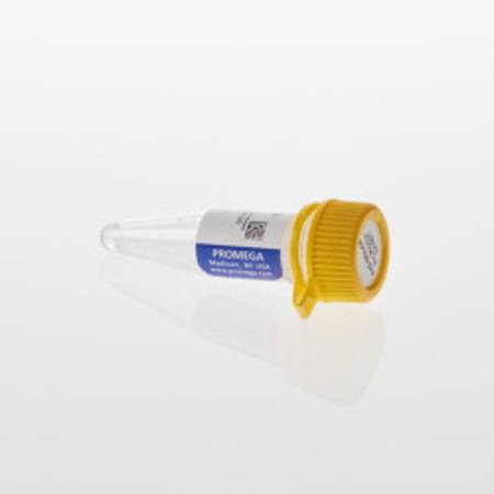 Buy Lumit(R) Anti-Mouse Ab-SmBiT in NZ.