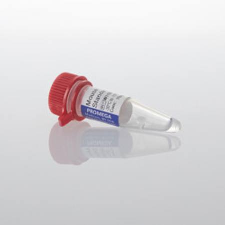 Buy Lumit(R) Mouse IL-1beta Standard, 25ul in NZ. 