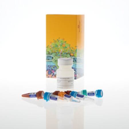 Buy Lumit(R) Immunoassay Cellular System - Set 1, 1,000 assays in NZ. 