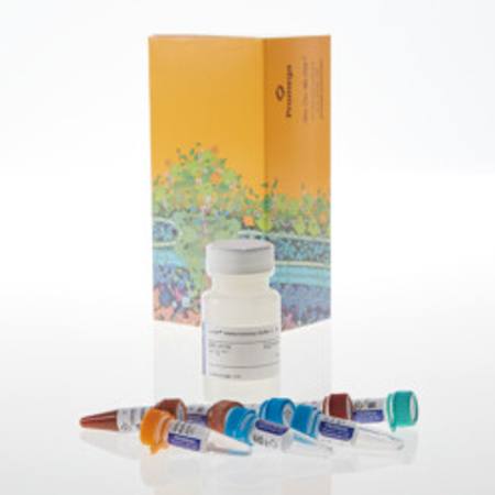 Buy Lumit(R) Immunoassay Cellular System - Set 1, 10,000 assays in NZ.