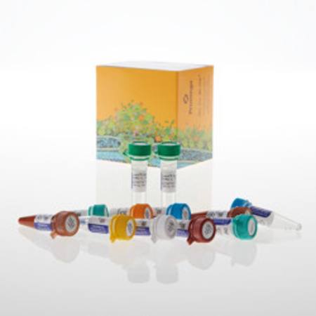 Buy Lumit(R) Immunoassay Cellular System - Starter Kit, 200 asy in NZ. 