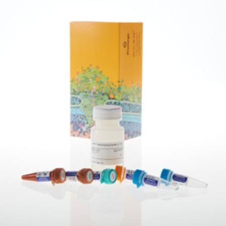 Buy Lumit(R) Immunoassay Lysis and Detection Kit, 1,000 assays in NZ. 