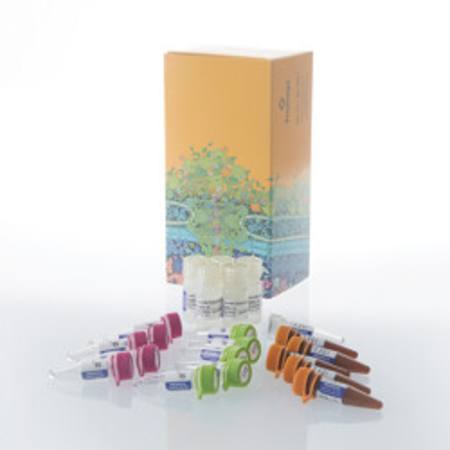 Buy Lumit(R) IL-8/CXCL8 (Human) Immunoassay, 500 assays in NZ.