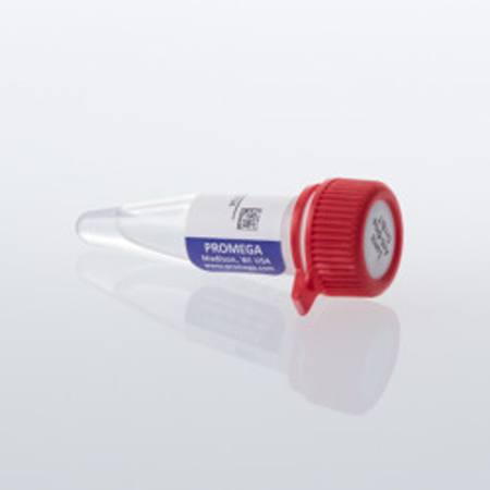 Buy Lumit(R) Anti-6His-SmBiT, 200ul in NZ.