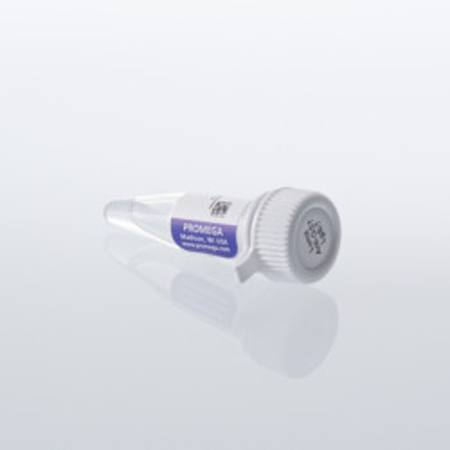 Buy Lumit(R) Anti-GST-LgBiT, 200ul in NZ.