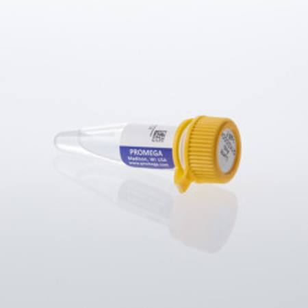 Buy Lumit(R) Anti-DYKDDDDK-LgBiT, 200ul in NZ.