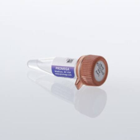 Buy Lumit(R) Anti-DYKDDDDK-SmBiT, 200ul in NZ.