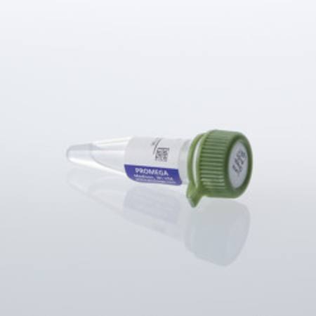 Buy Lumit(R) Streptavidin-LgBiT, 200ul in NZ.