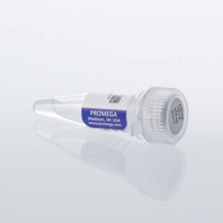 Buy Lumit(R) Streptavidin-SmBiT, 200ul in NZ.