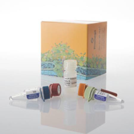 Buy Lumit(R) IFN-beta (Human) Immunoassay, 100 assys in NZ.
