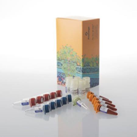 Buy Lumit(R) IFN-beta (Human) Immunoassay, 500 assays in NZ.