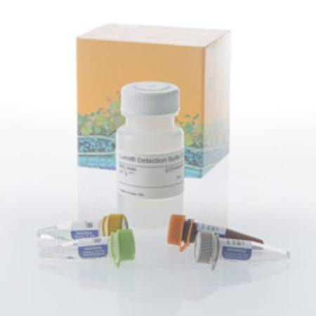 Buy Lumit(R) IL-12 p70 (Human) Immunoassay, 1000 assays in NZ.
