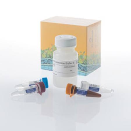 Buy Lumit(R) VEGF-A (Human) Immunoassay, 1000 assays in NZ.