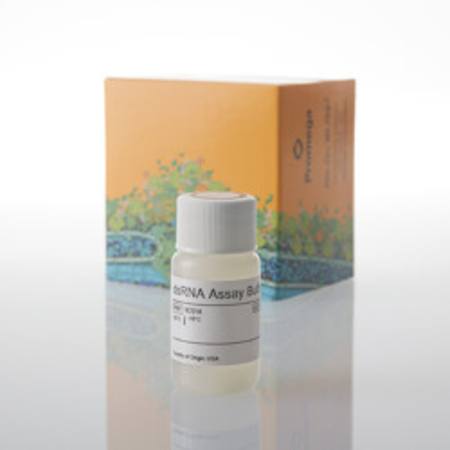 Buy Lumit(R) dsRNA Assay Buffer (5X), 8ml in NZ.