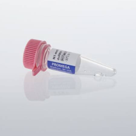 Buy Lumit(R) N1-methylpseudouridine dsRNA Standard, 15ul in NZ.