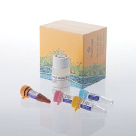 Buy Lumit(R) N1-methylpseudouridine dsRNA Assay in NZ.