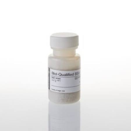 Buy Blot Qualified BSA, 10g in NZ.